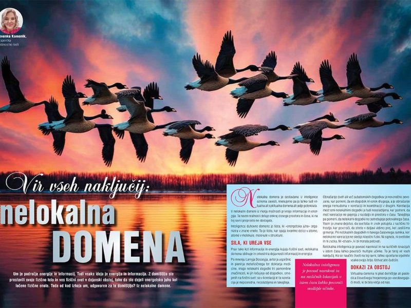 svet24-vit-vseh-nakljucij-nelokalna-domena